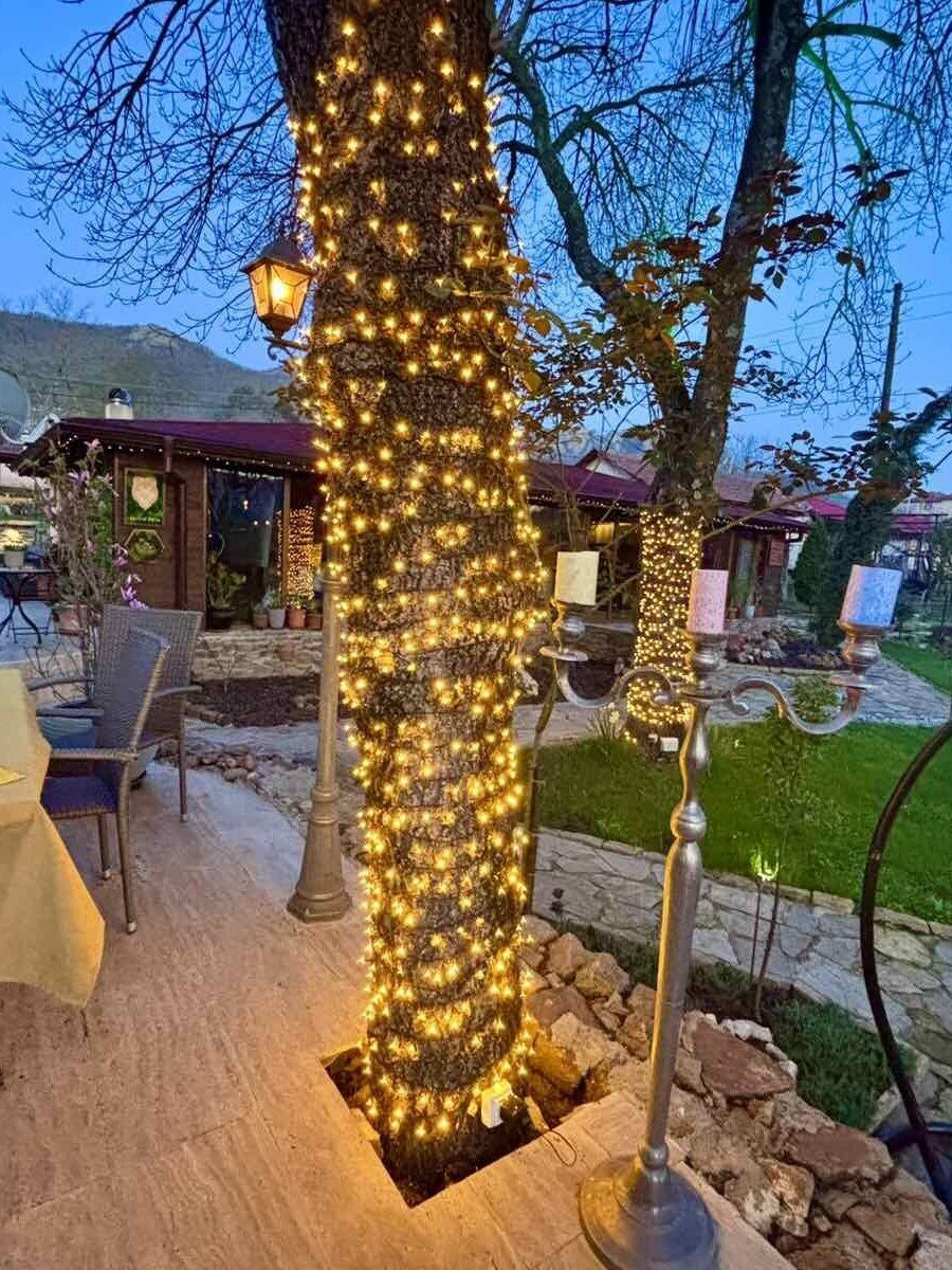 Evening light