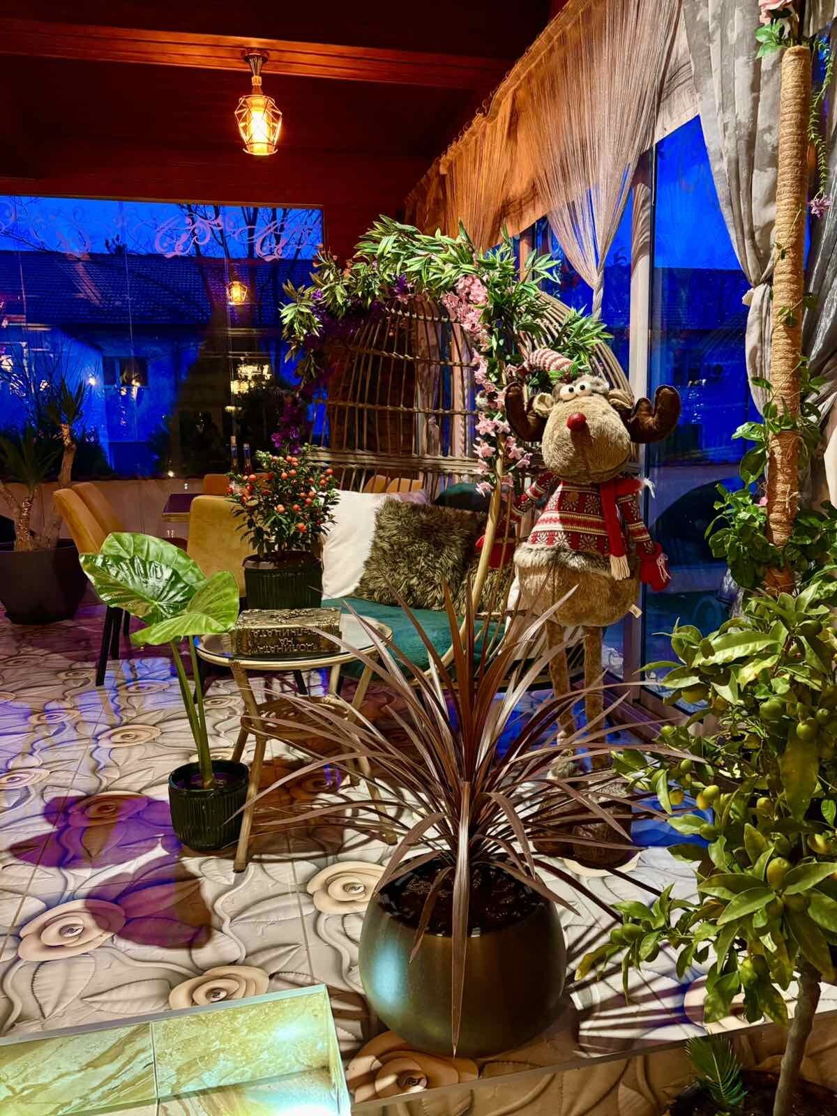 Among the plants