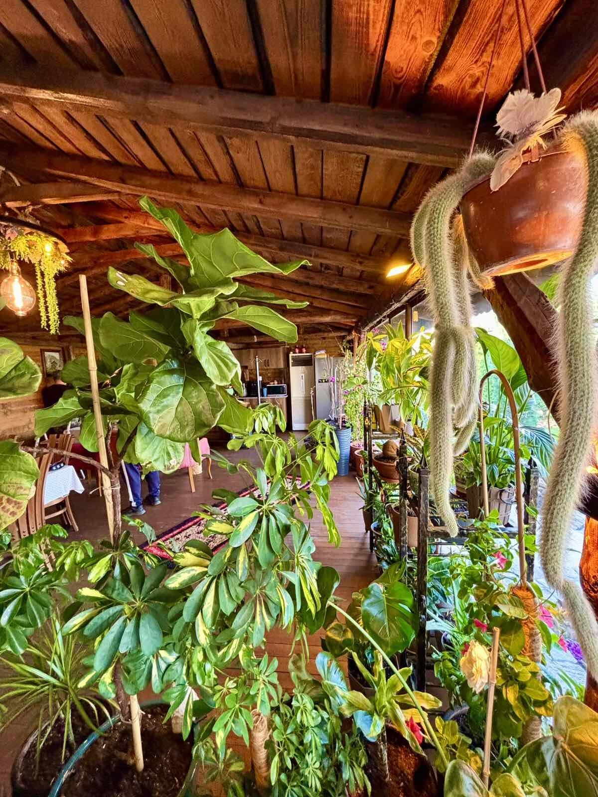 The veranda
